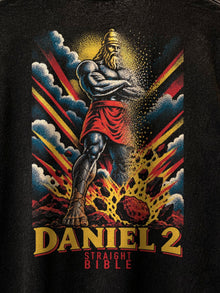 Daniel 2 statue and stone back print detail on the Straight Bible graphic T-shirt
