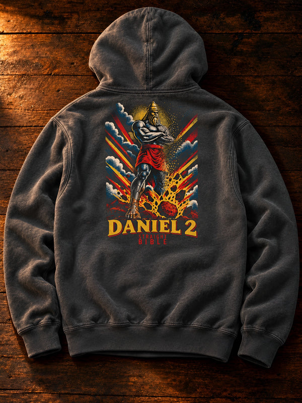 Straight Bible Daniel 2 graphic hoodie in garment-dyed Pepper, back view on dark wood
