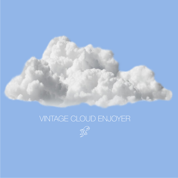 Vintage Cloud Enjoyer T-Shirt