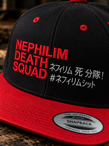 Close-up of red NDS embroidery and white Japanese lettering on snapback hat