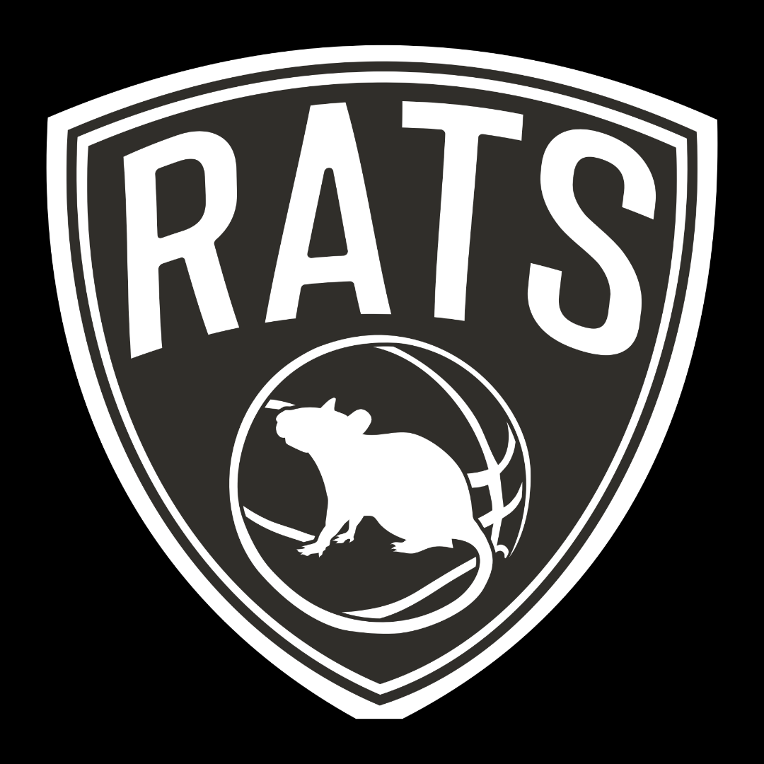 NYC Rats-1